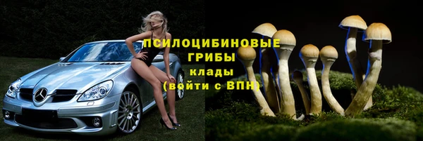 а пвп мука Верхний Тагил