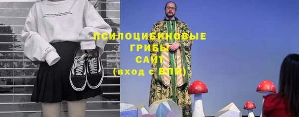 хмурый Бронницы