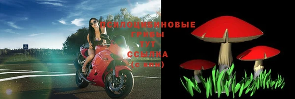 хмурый Бронницы