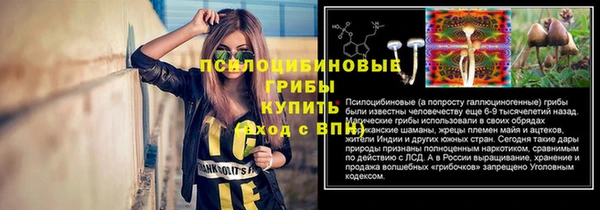 прущая мука Верея