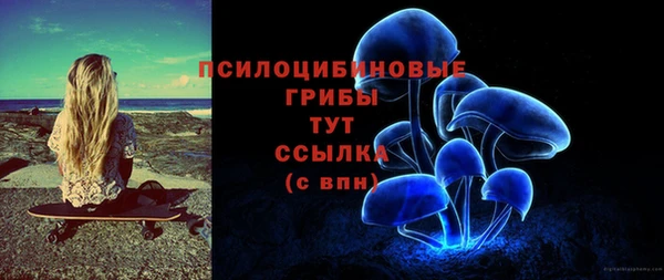 ALPHA-PVP Бородино
